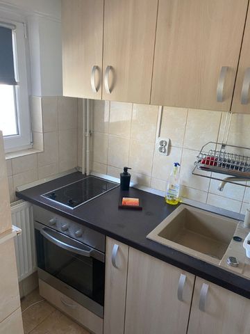 Garsoniera decomandata de inchiriat zona Trocadero - Fotografie 4