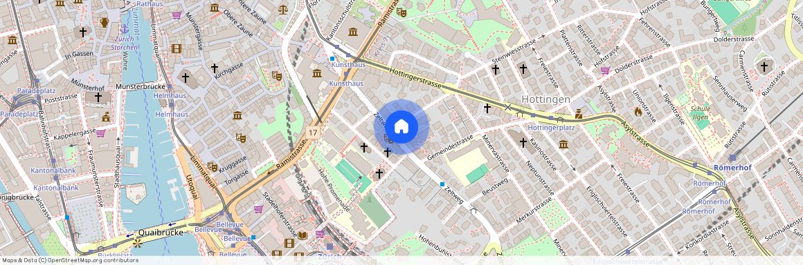 Steinwiesstrasse 2, 8032 Zürich