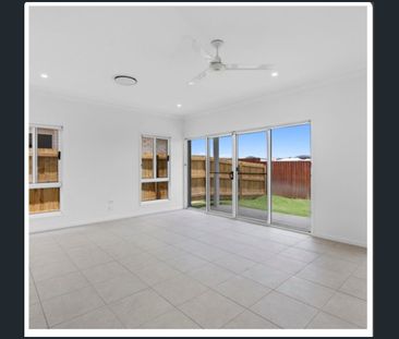 Brand New 4-Bedroom Family Home with easy yard to maintain - Check ... - Photo 2