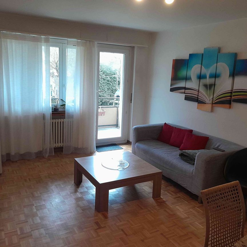 2.5 Zimmer, 53 m², 1. Stock - Photo 1