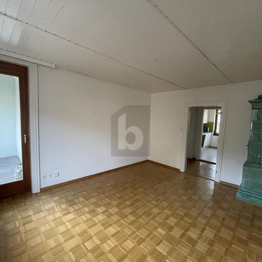 IDYLLIC OLD BUILDING WITH LARGE ROOF TERRACE - Photo 1