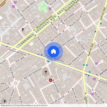 Avenue des Ternes entre Boulevard Pereire et Avenue Niel 75017 Paris (17e arrondissement)