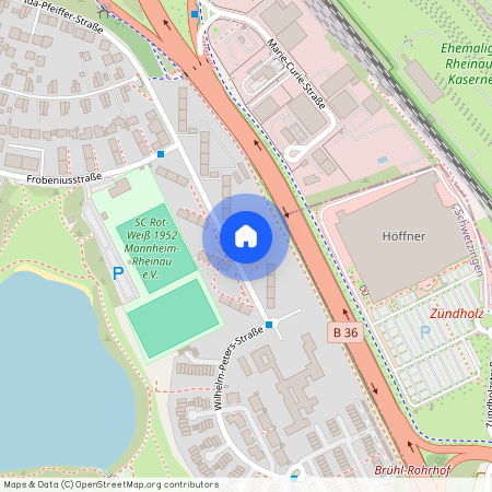 Wilhelm-Peters-Str. 69, 68219, Mannheim