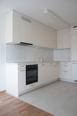 RENT WITHOUT DEPOSIT - Wonderful panoramic view - Photo 1