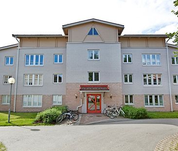Mariestrand, Umeå, Västerbotten - Foto 1