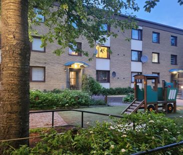 Axbyplan, Spånga - Foto 5