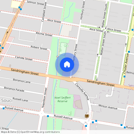 6 Horbury Street, NSW 2219, Sans Souci