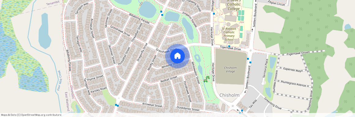 10 Whitetip Street, CHISHOLM 2322, New South Wales