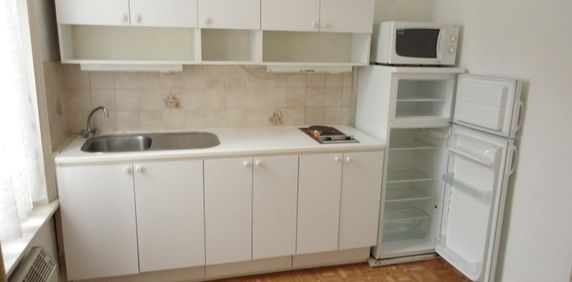 Appartement 1 pièce à Lille - Photo 2