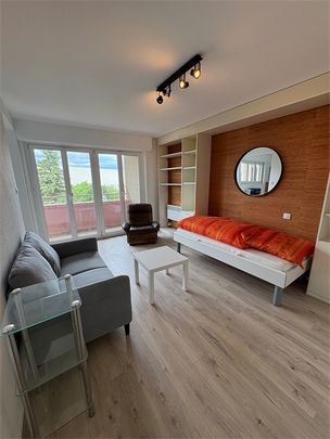 Location Appartement 1 pièce 31m² - Photo 1