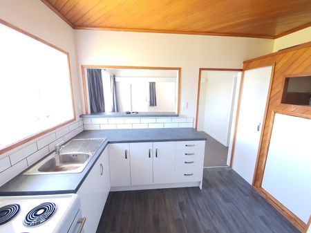 Large Section & Pet Friendly - Photo 4