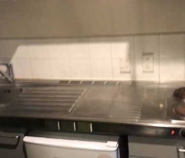 Central Auckland 1BR Gem! - Photo 2