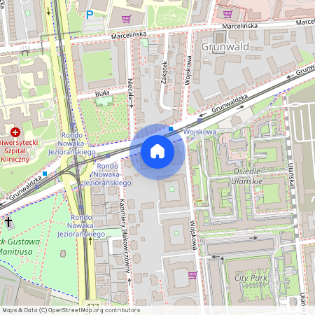 ul. Grunwaldzka 38, Grunwald, Grunwald, Poznań, wielkopolskie