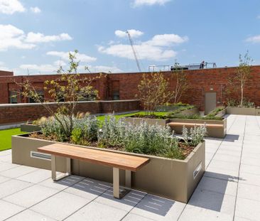 1 bedroom flat to rent - Photo 4