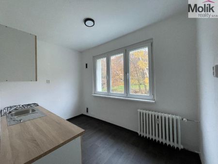 Pronájem bytu 2+1 55 m2 - Photo 3