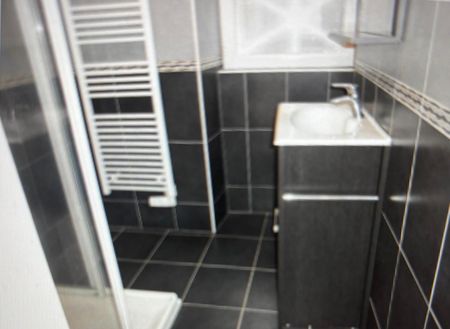 Location Appartement 3 pièces 45m² ST SAUVEUR DE MONTAGUT 07190 - Photo 2