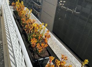 Διαμέρισμα για ενοικίαση - Κέντρο Θεσσαλονίκης, - Photo 4