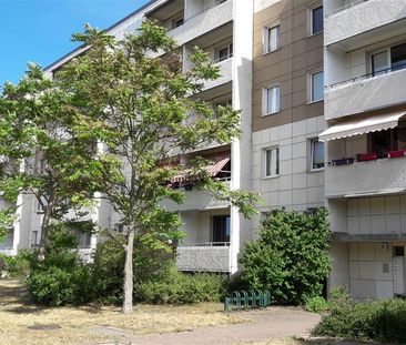 Drei Zimmer, Südbalkon, Dusche - Photo 1