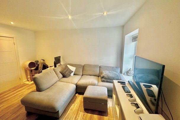 Back Dragon Parade - Photo 1