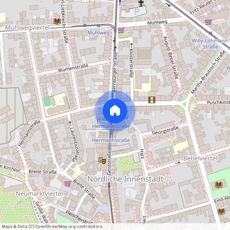 Geiststraße 33, 06108 Halle