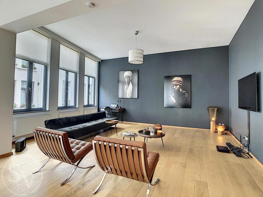 Groot, ruim, luxe appartement in hartje Antwerpen - Foto 1