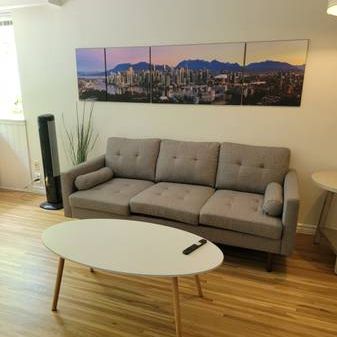 (Furnished) MOUNT PLEASANT - Spacious 1Bed+1Bath! NEAR CANADA LINE!! - Photo 1