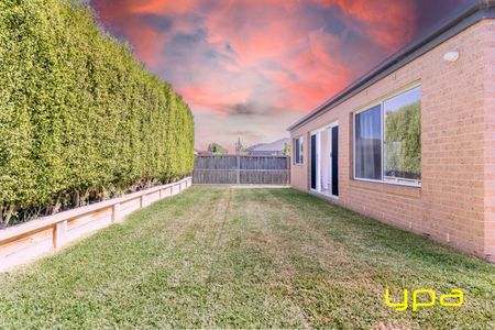 Affordable Family Living in Cranbourne West with Study - Photo 4