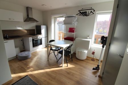 Location Appartement 1 pièce 18m² - Photo 2