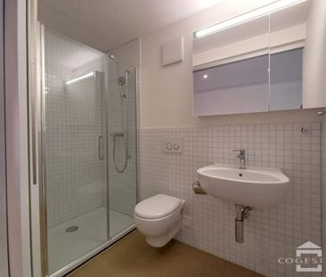Appartement traversant avec une belle luminosité, centre ville! - Foto 4