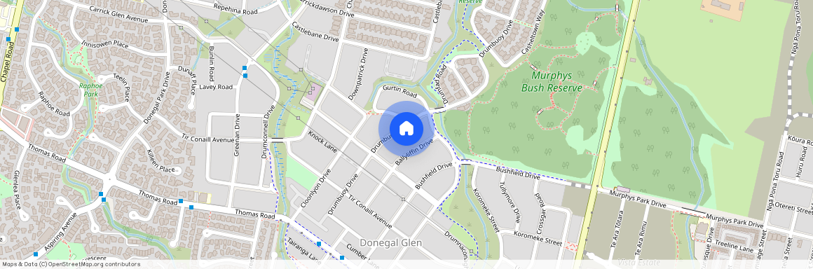 54 Drumbuoy Drive, Flat Bush, Manukau City