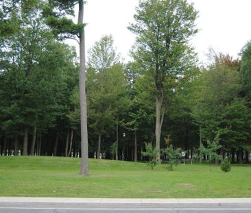 A BELOEIL 5 ½ - Photo 2