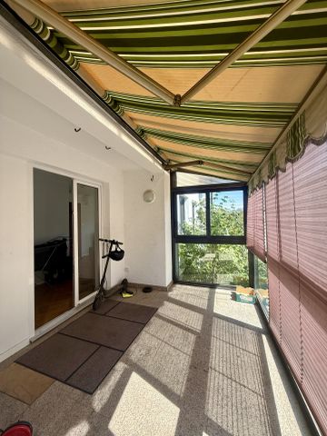 Location Appartement 1 pièce 12m² MITTELHAUSBERGEN 67206 - Photo 3