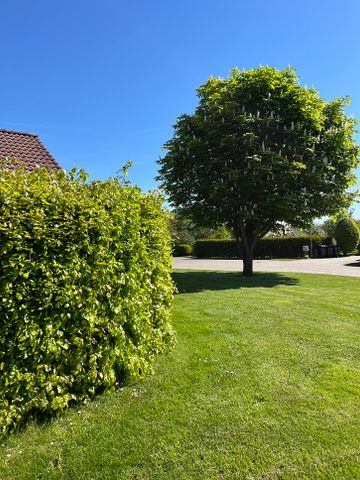 Bakken 46 A, Hvidbjerg, 7860, Spøttrup - Foto 2