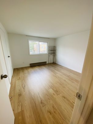 For Lease - 44 Woody Vine Way, Toronto, Ontario - Photo 1