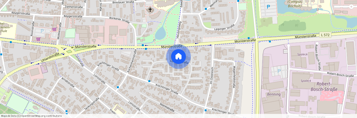 Fanny-Lewald-Straße 15, 46397 Nordrhein-Westfalen - Bocholt