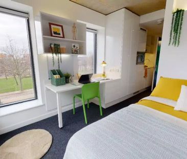 Silver Studio - Photo 6