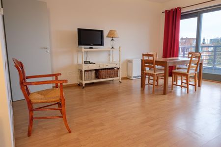 DIAMANT : Large 1 bedroom furnished apartment w/ parking - Foto 3