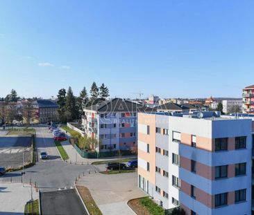 Pronájem bytu 1+kk 33 m2 - Fotografie 4