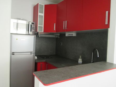 Location Appartement 1 Pièce 30 m² - Meublé - Photo 4