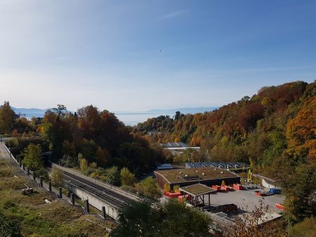 Avenue de la Sallaz 35, 1010, Lausanne - Foto 2