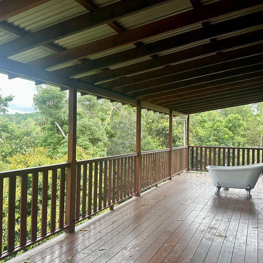 24 Nimbin Street - Photo 1