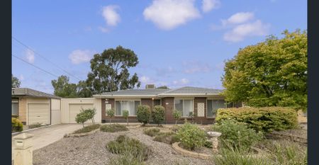 Spacious Family Home in Salisbury Park - Photo 3