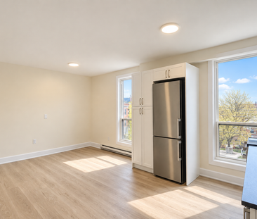 4 Victoria Avenue South apartment — Hamilton, ON (1-Bedroom) - 1 Bedroom - Photo 3