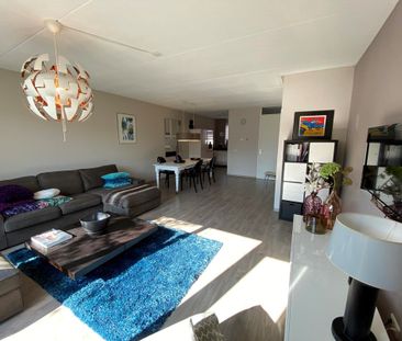 Baak Van Brielle 2 - Foto 3