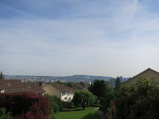 2 ½ Zimmer-Wohnung in Zürich mieten - Foto 1