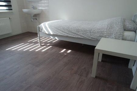 Te huur: Kamer Hemelrijken in Eindhoven - Foto 3