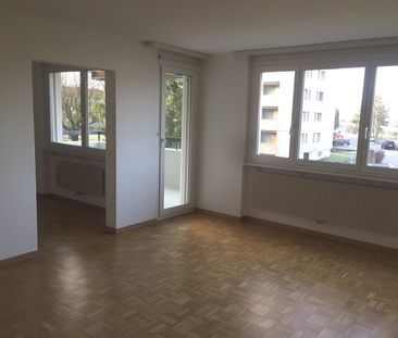 Life above the rooftops of Zuchwil - Photo 1