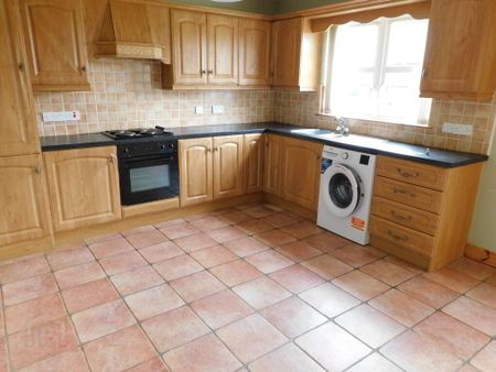 25 Coolnagard Hollow, Omagh, BT78 1JS - Photo 3