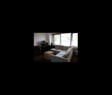 1 Bed Flat, Furnace Hill, S3 - Photo 4