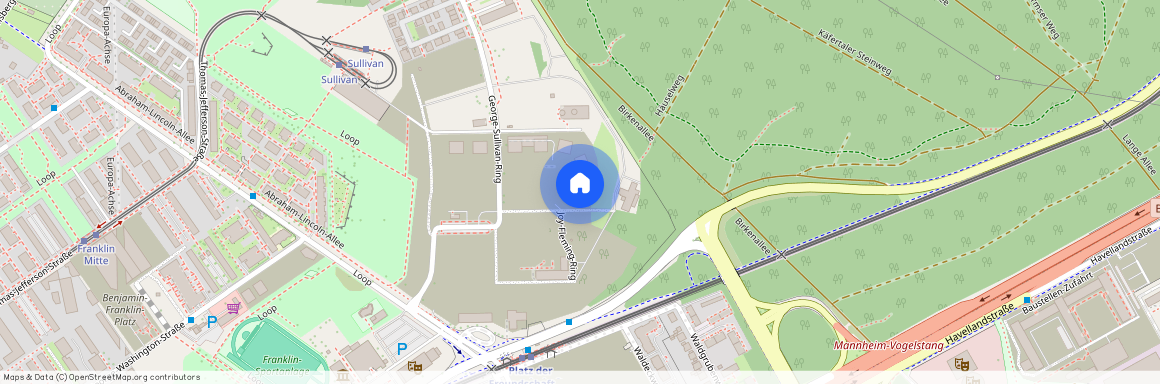 George-Sullivan-Ring 105, 68309, Mannheim